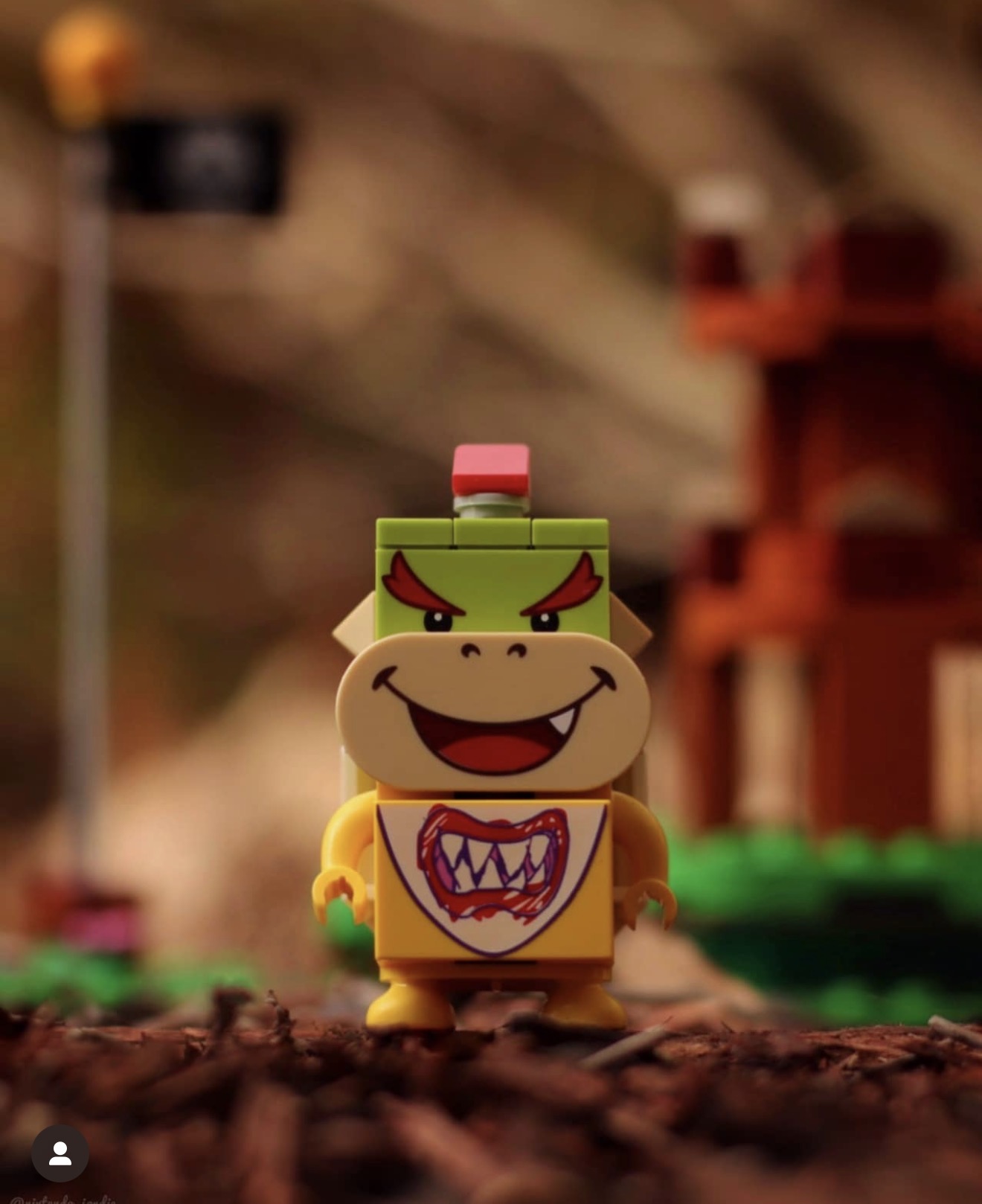 Aurora Media polaroid image 2