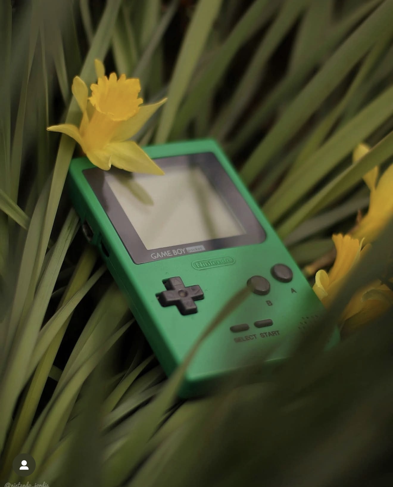 Aurora Media polaroid image 1